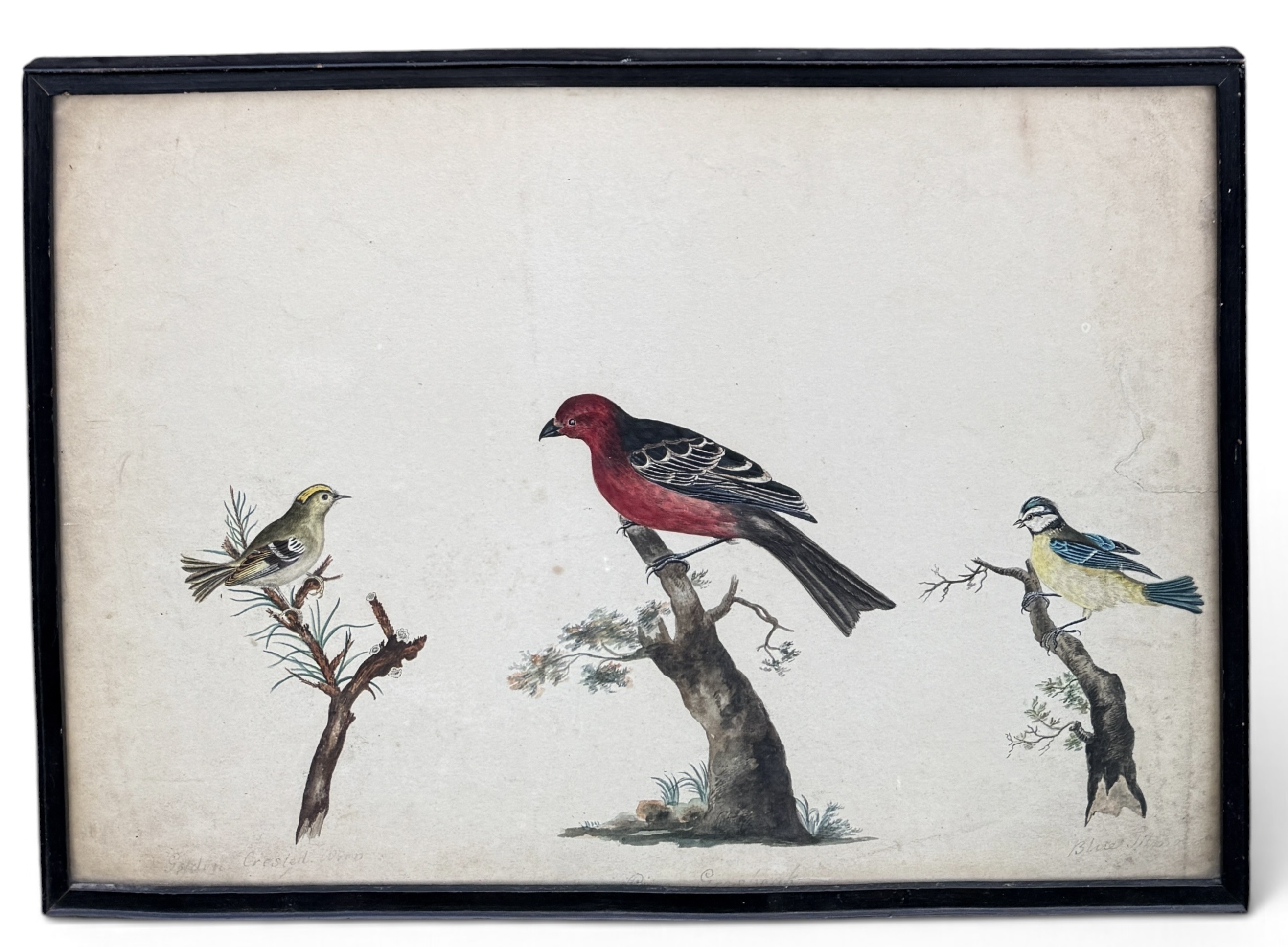 Lot 1698 - 19TH CENTURY ENGLISH SCHOOL: THREE BIRDS ON